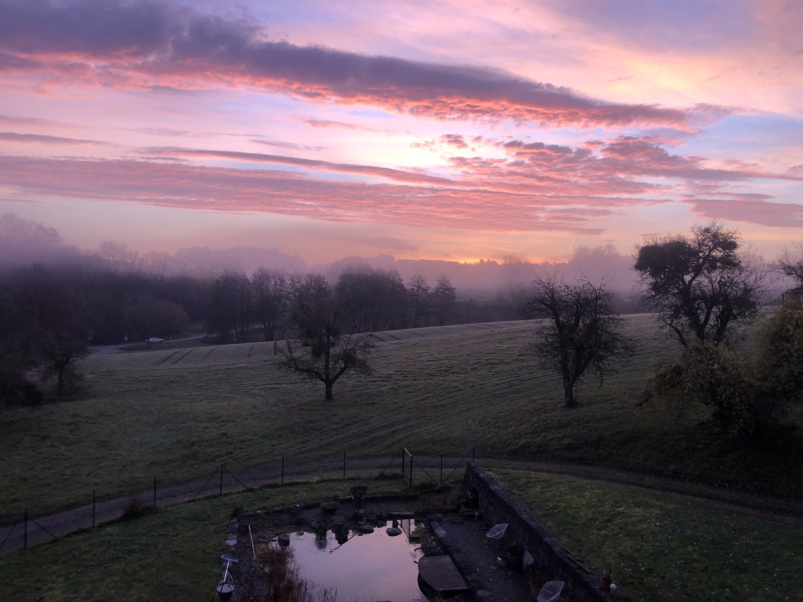 Morgenrot über dem Hofteich