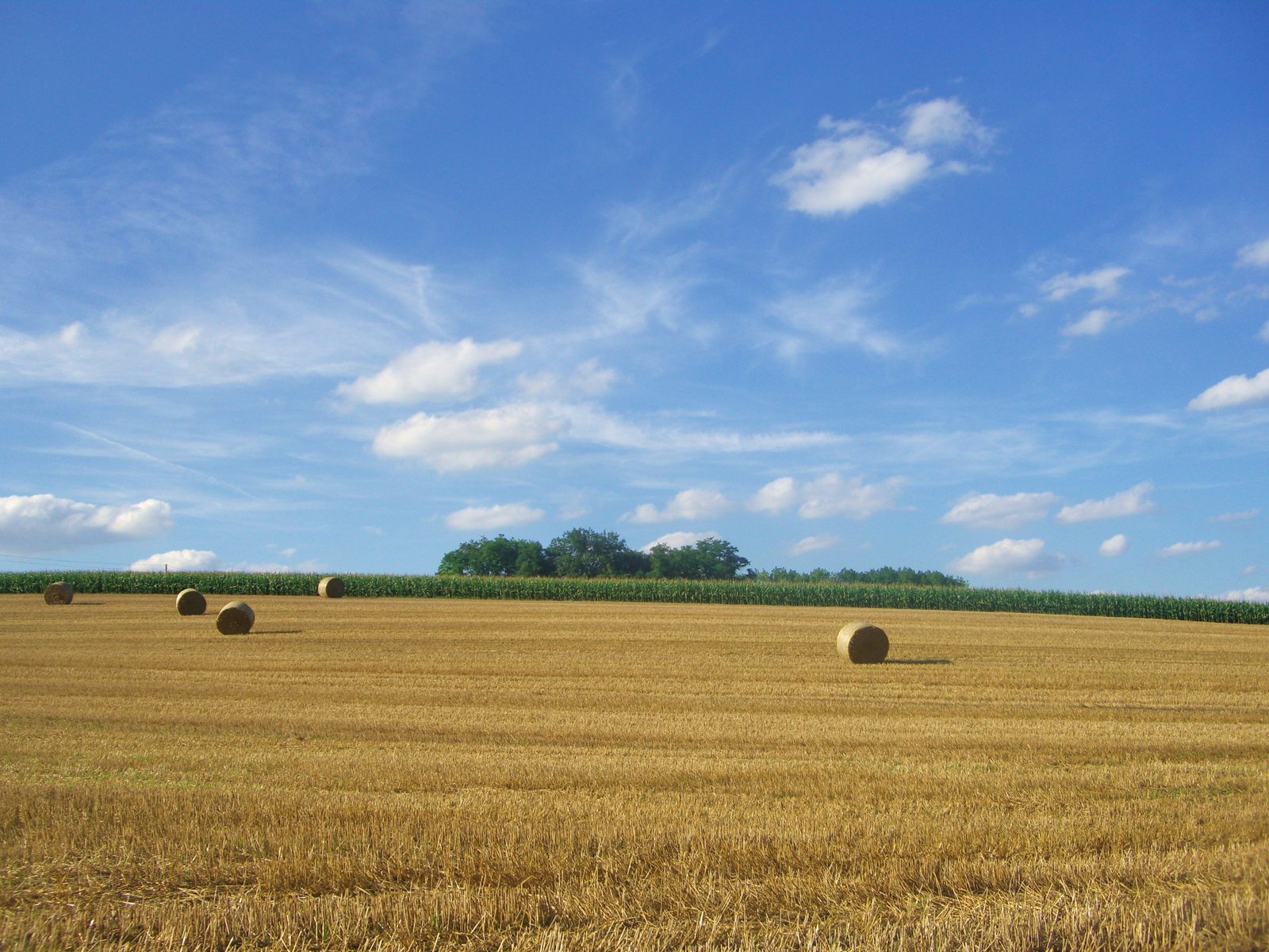 Strohballen auf dem abgeernteten Feld am Abend